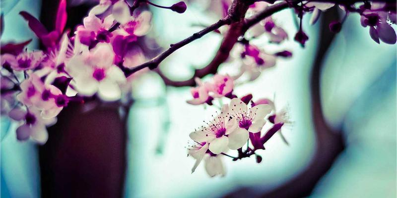 智慧动脉：石家庄地铁通信系统设计与施工的关键要点解析