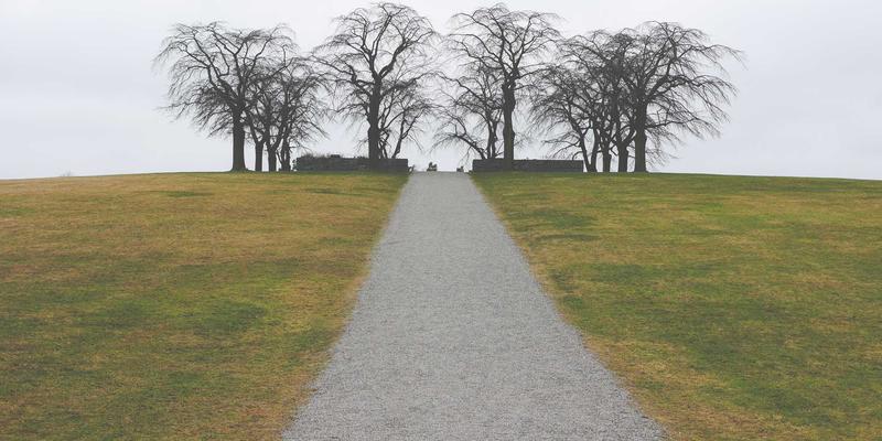 智慧石家庄新蓝图:通信基础设施如何重塑城市未来?——聚焦通信工程与系统集成