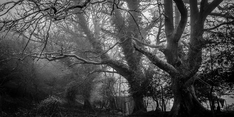 石家庄企业网络升级指南：燕京通讯如何通过精细化供应链管理，优化光纤宽带工程材料采购