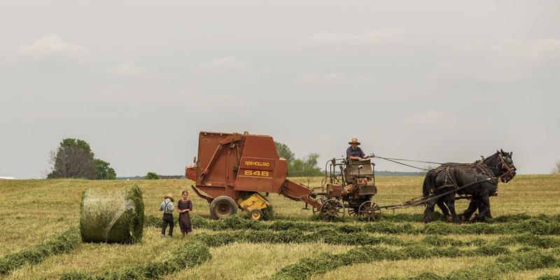 石家庄燕京通讯以旧换新攻略:通信工程视角下的设备升级与网络服务优化