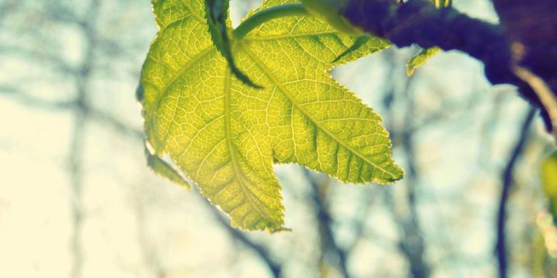 石家庄通信工程新趋势:绿色施工与智能选型如何驱动PUE值下降,赋能智慧城市