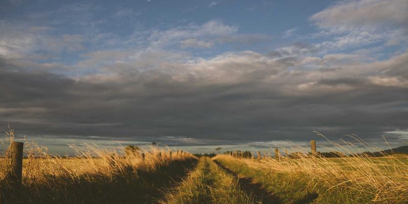 筑牢通信生命线:石家庄基站建设与弱电施工安全风险全解析